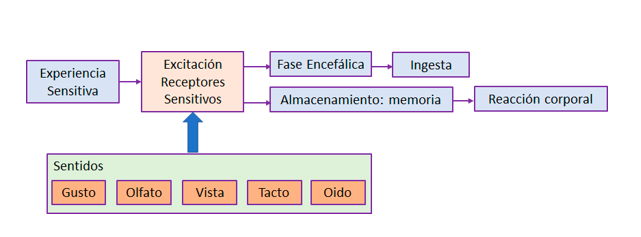 Percepción Sensorial y conocimiento del consumidor